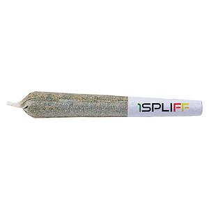 1Spliff - Purple Aya Pre Roll