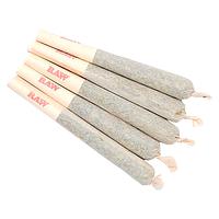 Sixty Seven Sins - Gary Satan Pre-Roll