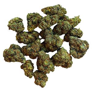 BOLD - Root Beer Float