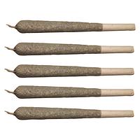 Can We -  Sativa Peace Pack