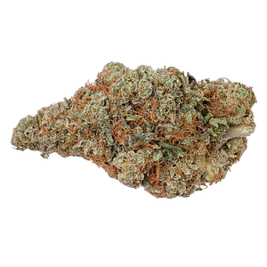 Highly Dutch Organic - Rotterdam Indica