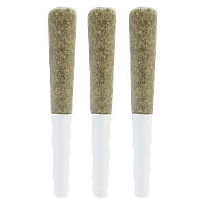 The Goo! - Goobies! Live Rosin Infused Pre-Roll