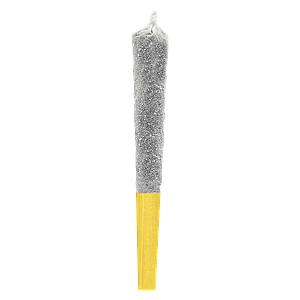 Potluck - Juicy Jungle Fruit Infused Pre Roll