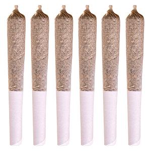 Station House - Coast to Coast Series Pre-Roll