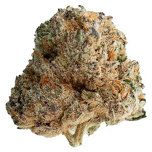 Original Dankster - Shot Caller