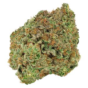 Big Bag O' Buds - Dough Lato