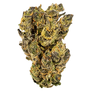 WINK - Citrus Tsunami