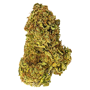 Paw't Shop - Cat Sitter