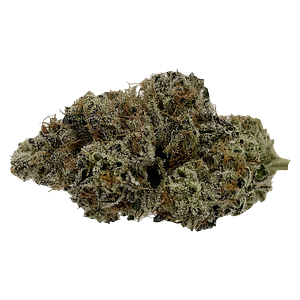 Microcannabi - Grease Monkey