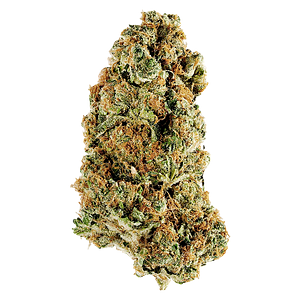 Redecan - Animal Rntz