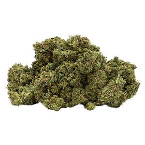 Endgame - Frozen Jelly