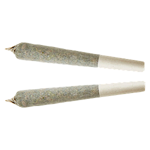 XPLOR - Sativa Pre-roll