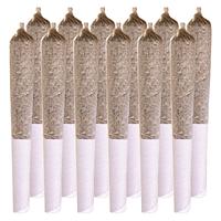Station House - Ghost Train Haze Pre Rolls