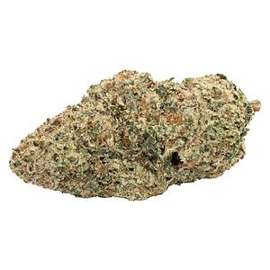 Carmel - Zebra Stripes