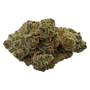 The Florist - Rare Cuts