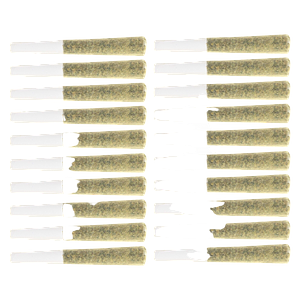 Original Dankster - Shot Caller Pre-roll