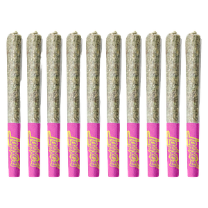 BOXHOT - Terpedos - Neon Riot Pre-Roll