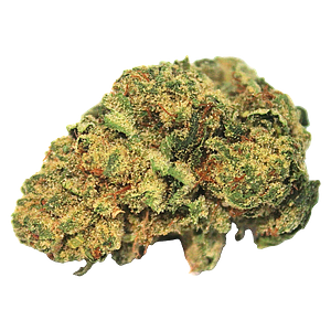 High Note - Black Gas