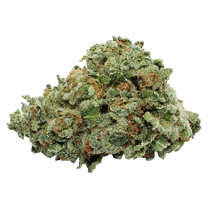 Tam Tams - Honeydew Melon