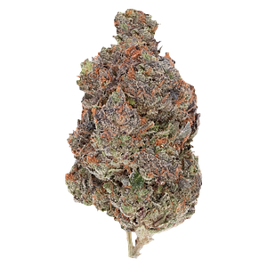 Pistol and Paris - Diablo