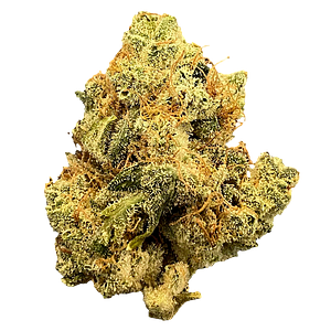 Mailman - Ultraviolet GMO