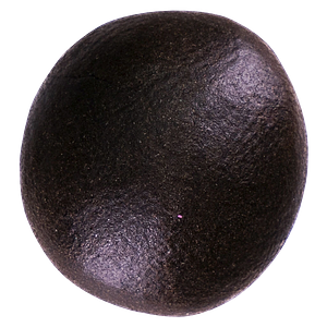 Lune Rise Farms - 2:1 Cbd/Thc Lemon Zest Balanced Bubble Hash