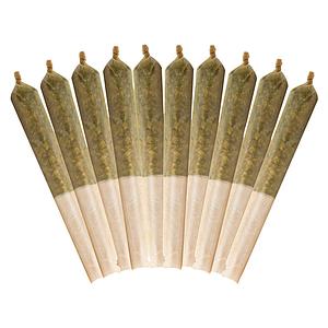 Buddy Blooms - Ethos Glue Pre-Roll