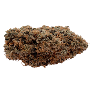 Microcannabi - Molten Core 1:1