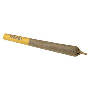 Abide - Mango 1:1 Pre-Roll
