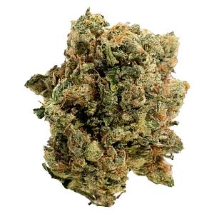 Handy Dandies - Itsy Bitsy Tipsy Whole Flower