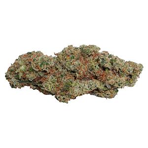 Always Toasted - OG Dutch Dragon