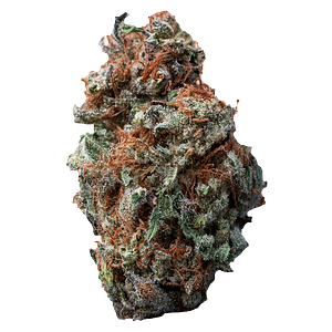 Palmetto - Sasquatch Sap
