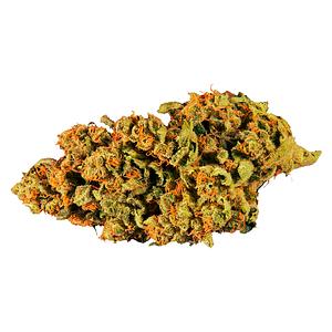 Paw't Shop - Dawg Walker