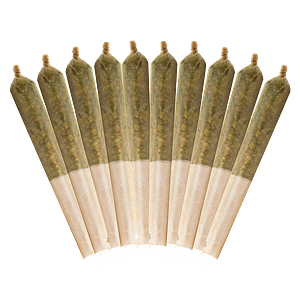 Buddy Blooms - Highbrid Pre Roll