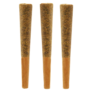Noodz - Jungle Fire Pre-Roll