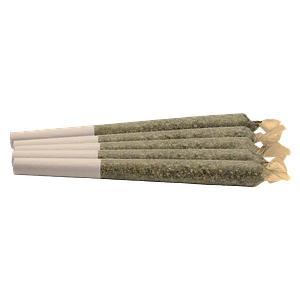 Kingsway - Nightshift High Pre Roll