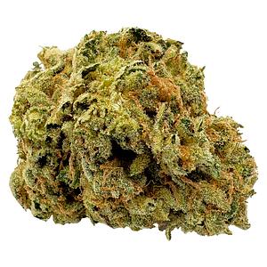 Viola - 1st Quarter (Sativa)