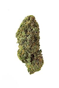 Homestead - Bandwagon Sativa