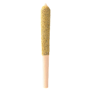 Tenzo - Pineapple Zktlz Double Hash Infused Pre-Roll