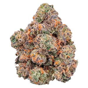 FOUR54 - Lobster Royale