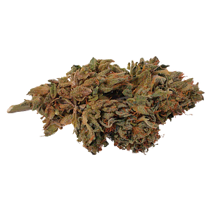 HCBD ORGANICS - Ambassador Organic Craft Cbd