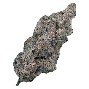 Cultures Chloris - Truffaloha