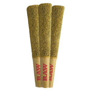 Orchid CBD - Cbd Grape Rntz Infused Pre Roll