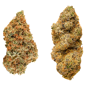 Redecan - Taster Series Variety Pack