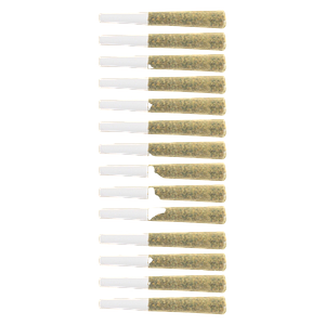 The Loud Plug - Platinum Punch Pre Roll