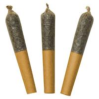 Dab Bods - Watermelon Mojo 60's+ Dbl Infused Pre-Roll