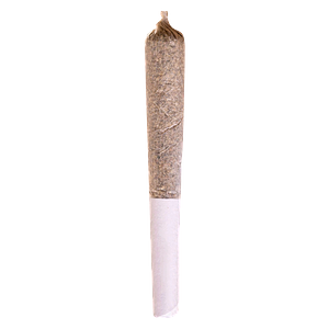 Station House - Sensi Star Pre Roll