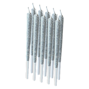 Pixel - Rogue Pre-roll