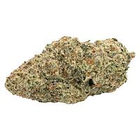 Carmel - Zebra Stripes