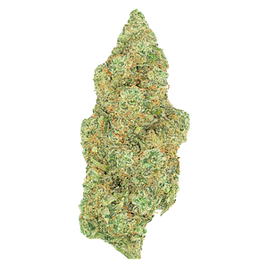 Greybeard - Critical Diesel